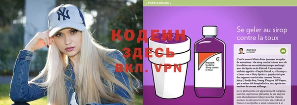 apvp Ельня