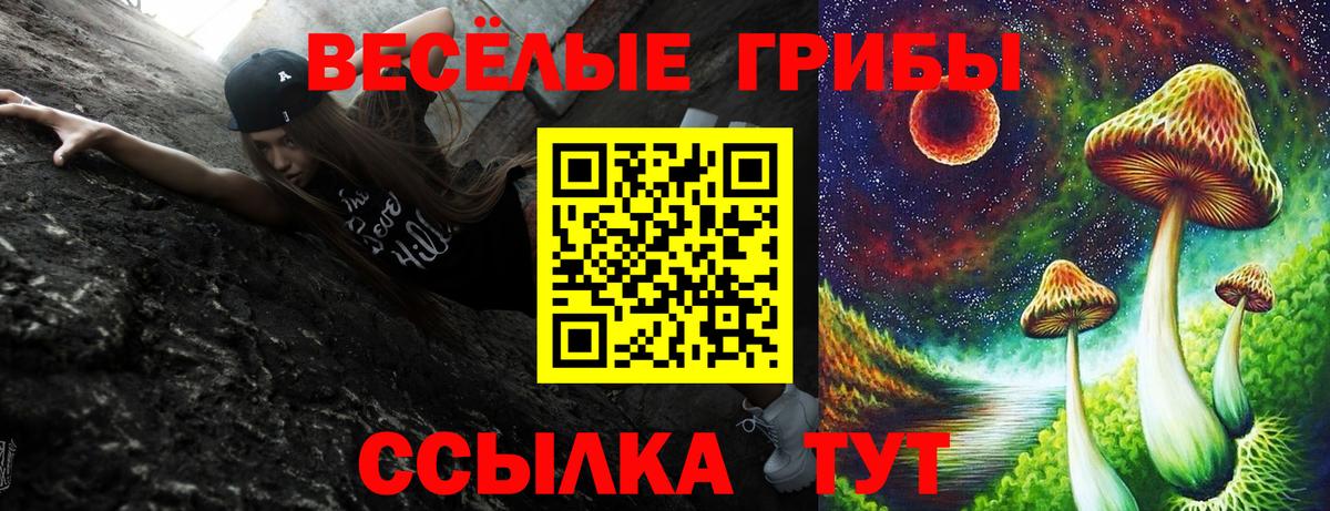 Псилоцибиновые грибы MAGIC MUSHROOMS  Псилоцибиновые грибы Cubensis  Вязьма  Вход с VPN 