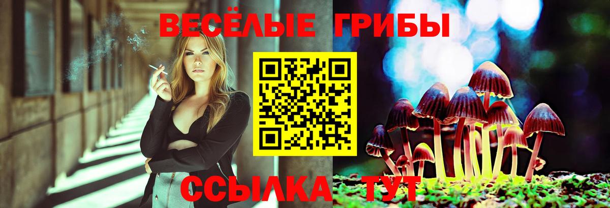 хочу   Вязьма  Галлюциногенные грибы GOLDEN TEACHER 