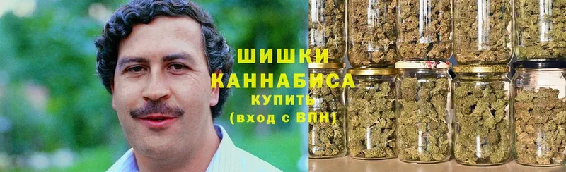 цена наркотик  Вязьма  Канабис сатива 